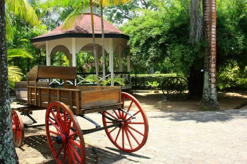 horse cart colonial plantantation