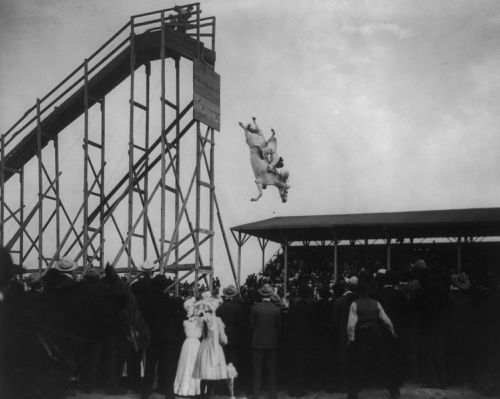 horse diving vintage jumping