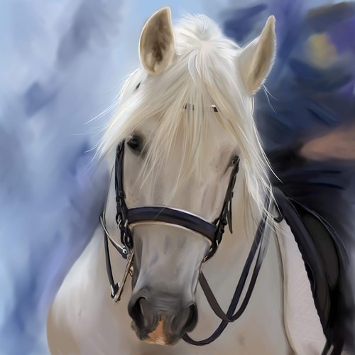 horse head  horses  painting