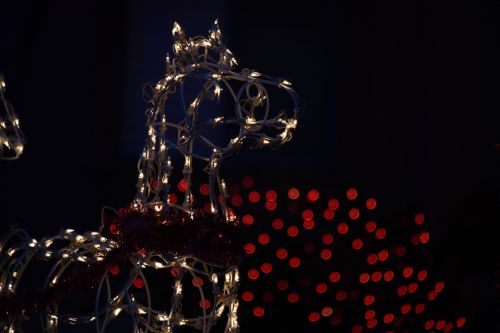 Horse Lights Red Bokeh