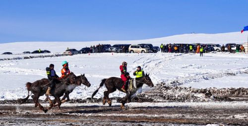 horse race finish line winter
