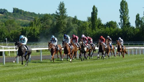 horse race hippodrome horses