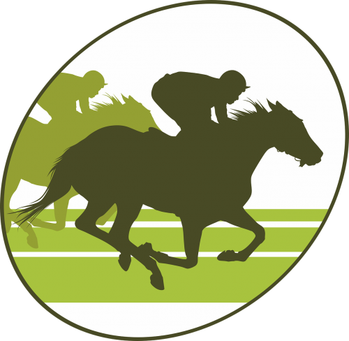 horse racing horse equine