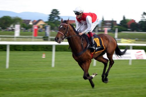 horse racing jockey iffezheim