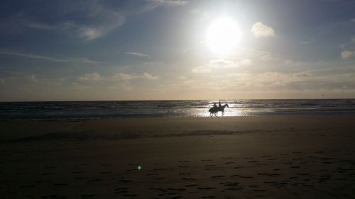 horse riding beach sandy beach