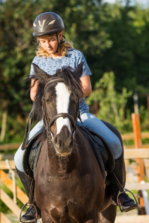 horse riding horses farm