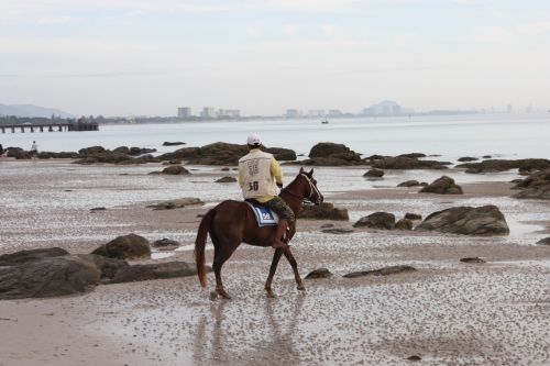 horse riding beach hua hin