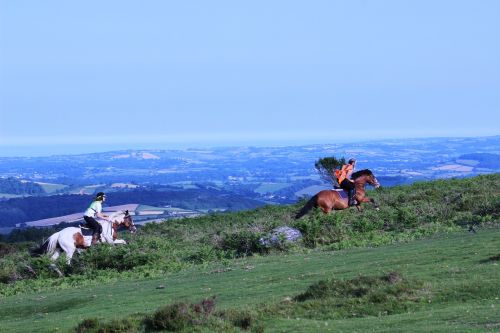horse riding devon dartmoor