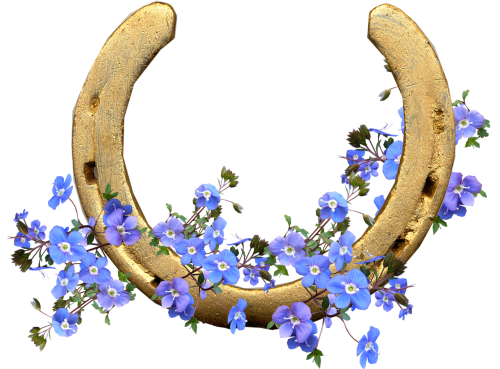 horse shoe blue flowers lucky