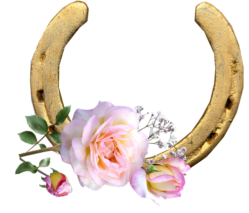 horse shoe peace rose lucky