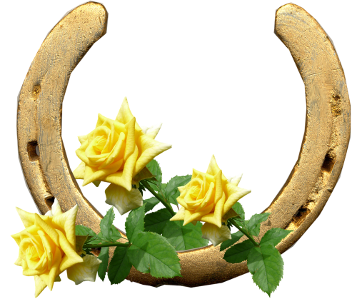 horse shoe yellow roses lucky