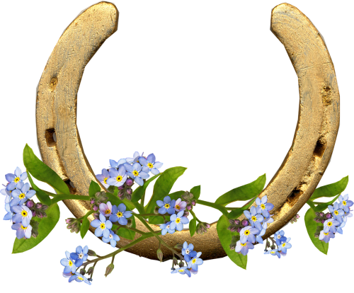 horse shoe forget me not flowers