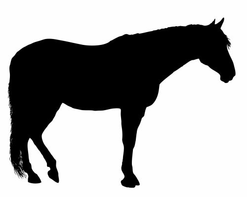 Horse Silhouette