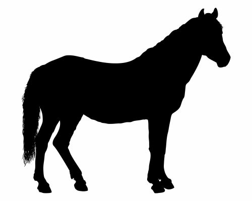 Horse Silhouette