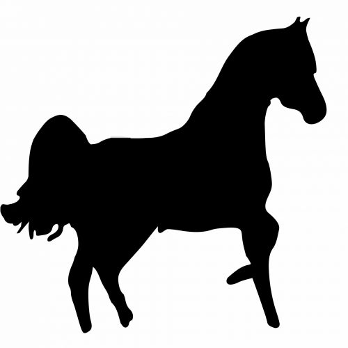 Horse Silhouette 2