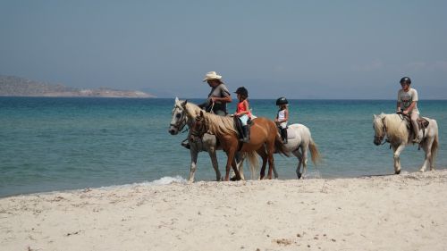 horses people beach