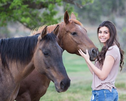 horses girl animal