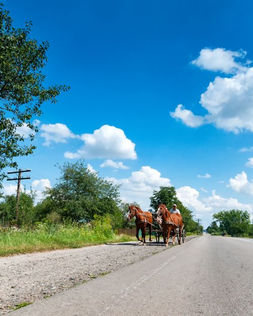 horses coach road