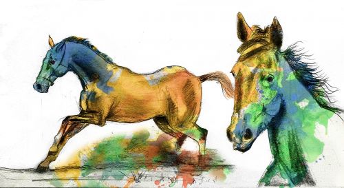 horses water-colour colourful
