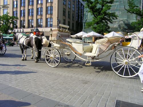 horses transport krakow