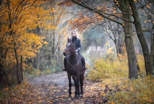 horses plein air autumn