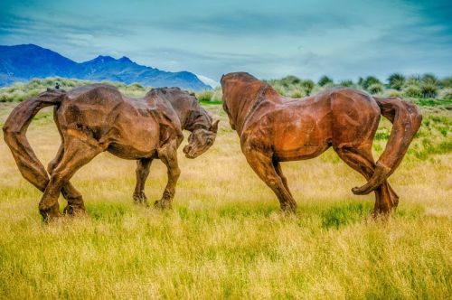 horses hills golf course new zealand