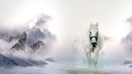 horses wolves wild