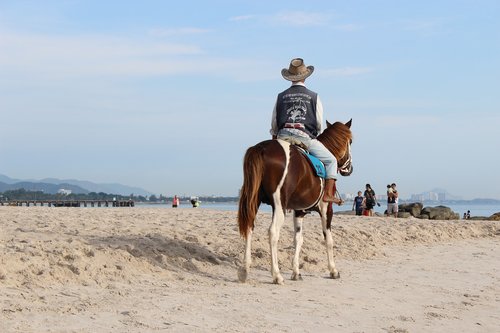 horses  beach  hua hin
