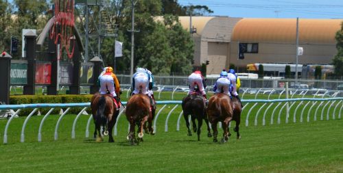 horses racing jockey
