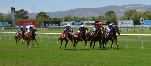 horses racing jockey