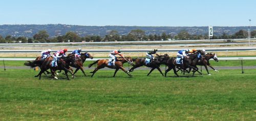 horses racing jockey