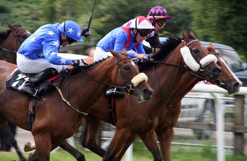 horses  racing  equestrian