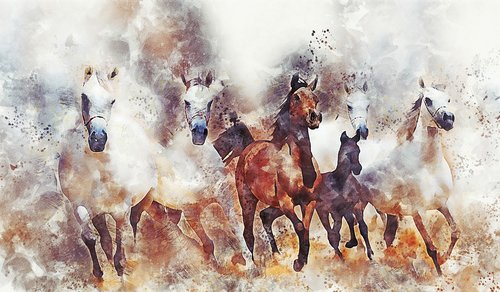 horses  running  mammal