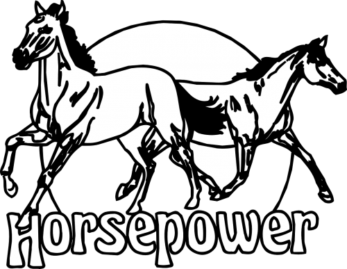 horses horsepower animals