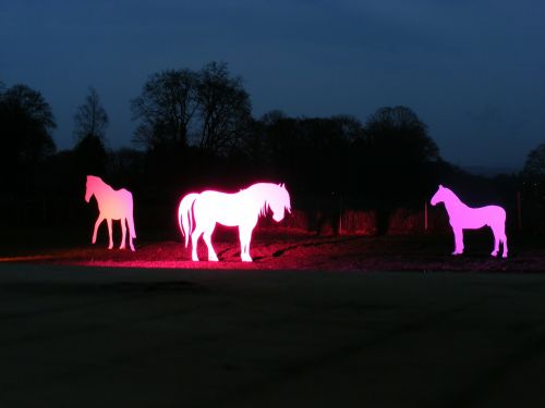 horses silhouettes light installation