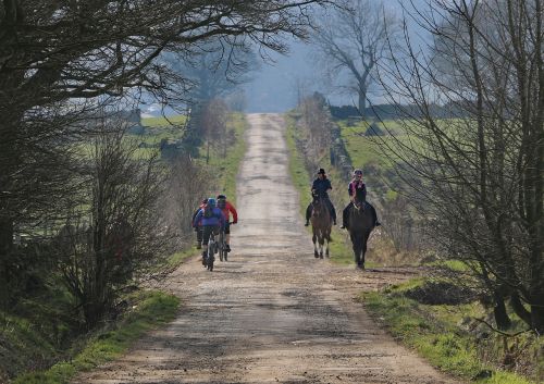 horses bikes countryside