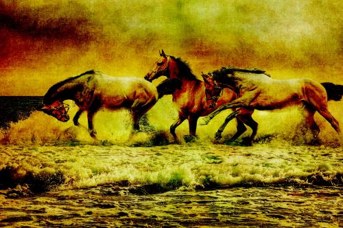Horses Vintage Painting