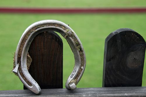 horseshoe horses metal