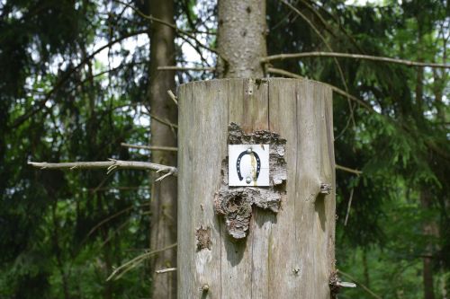 horseshoe shield log