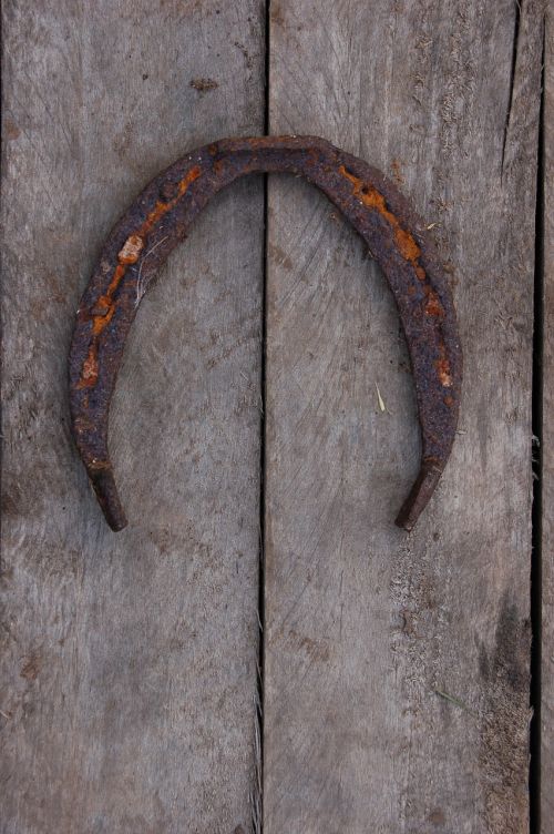 horseshoe vintage tree