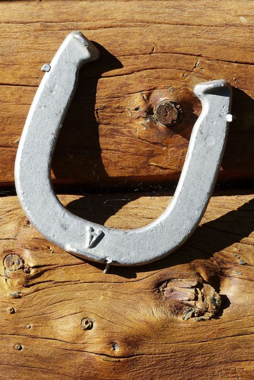 horseshoe silver metal