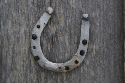 horseshoe luck lucky charm