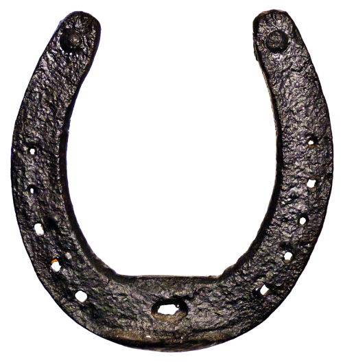 horseshoe forged luck