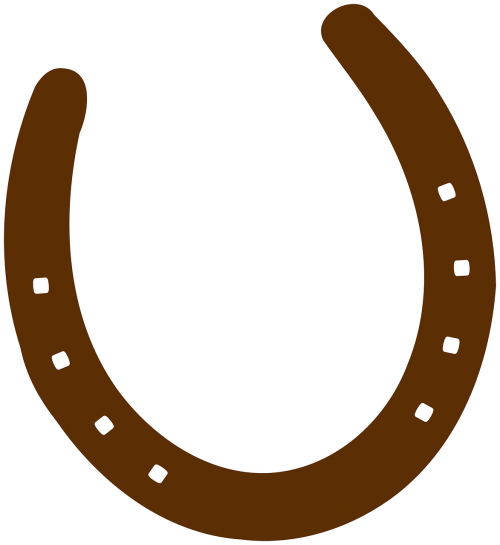 horseshoe brown metal
