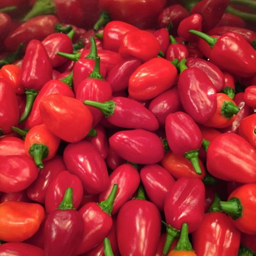 hot peppers chili hot