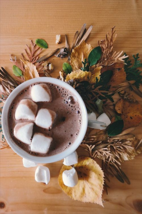 hot chocolate drink