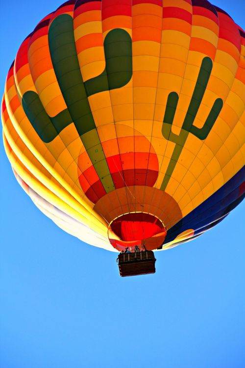 hot air balloon balloon air