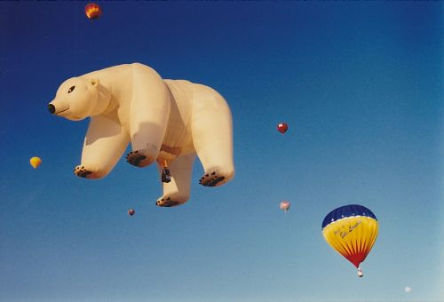 hot air balloon balloon polar bear