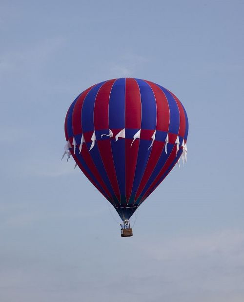 hot air balloon floating colorful