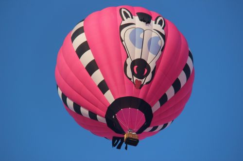 hot air balloon color zebra